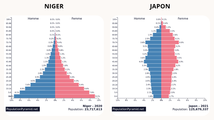 Pyramides des âges Niger vs Japon